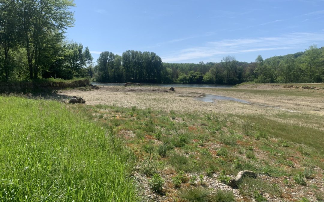 Création d’une Aire Terrestre Educative à Maison-Neuve