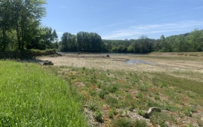 Création d’une Aire Terrestre Educative à Maison-Neuve