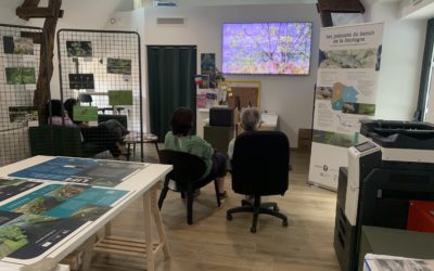 Animations durant le Joli mois de l’Europe et la Fête de la Nature