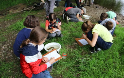 Appel à manifestation d’intérêt : animations sur les sites du LIFE rivière Dordogne